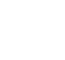 dynamic stretch
